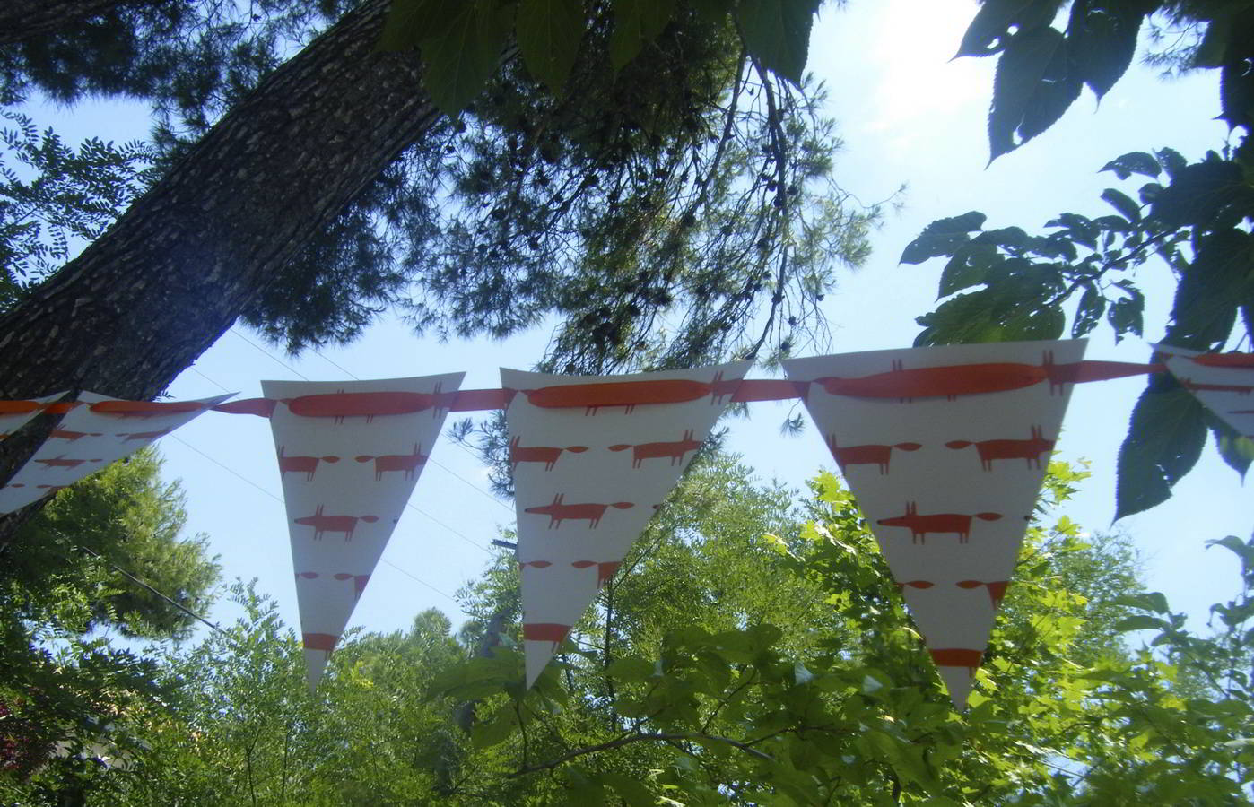 baptism_the-orange-fox_hara-kontaxaki_19