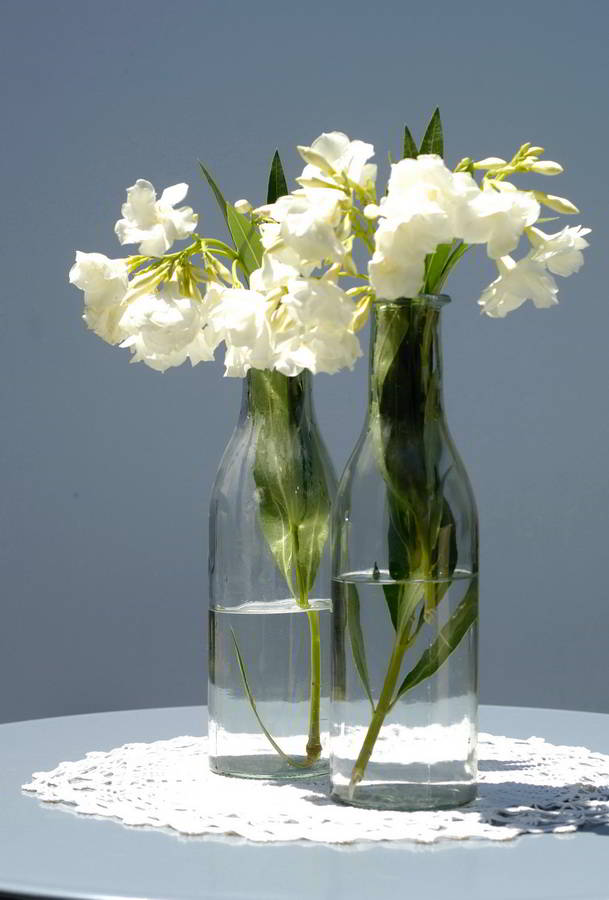 sto-roloi_apartment-studio_hara-kontaxaki_styling56